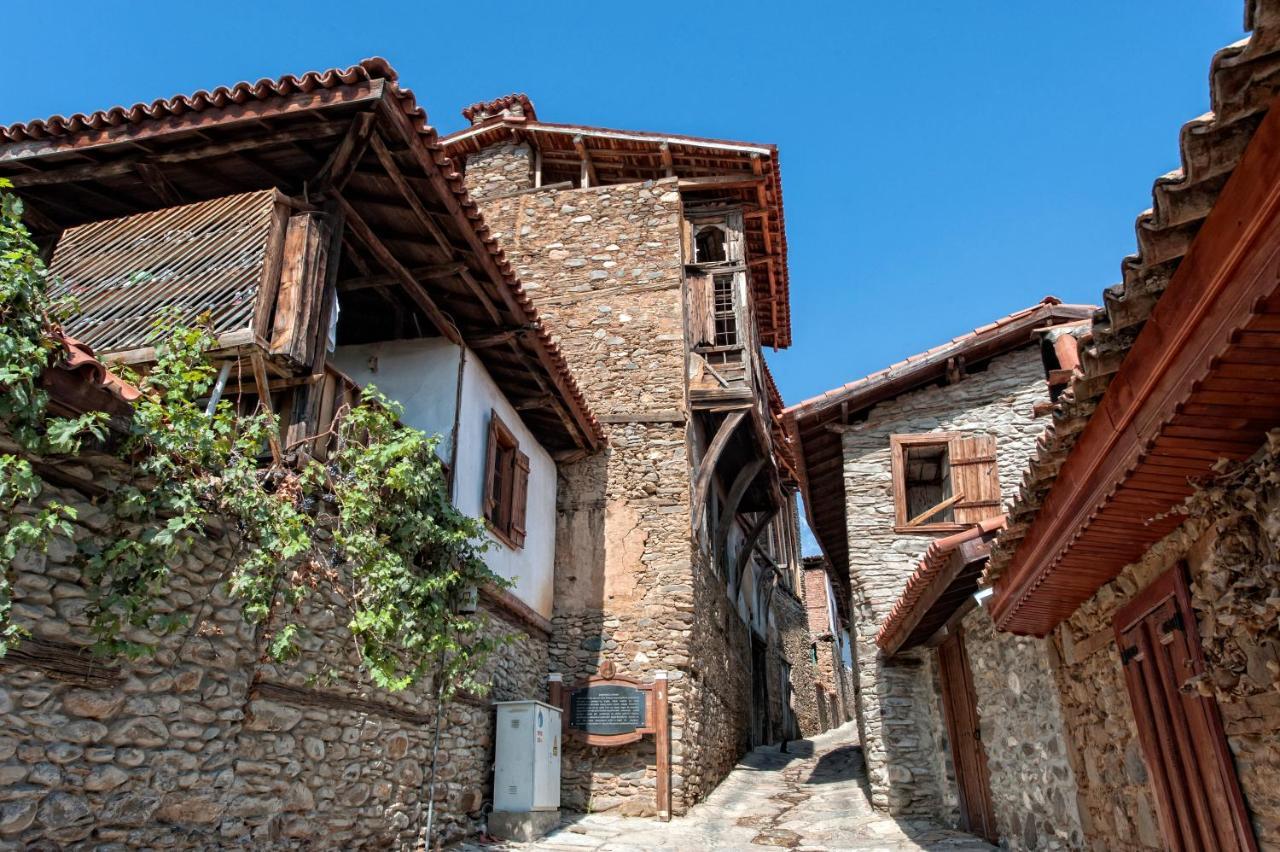 Yeni Gelin Evi Lägenhet Birgi Exteriör bild